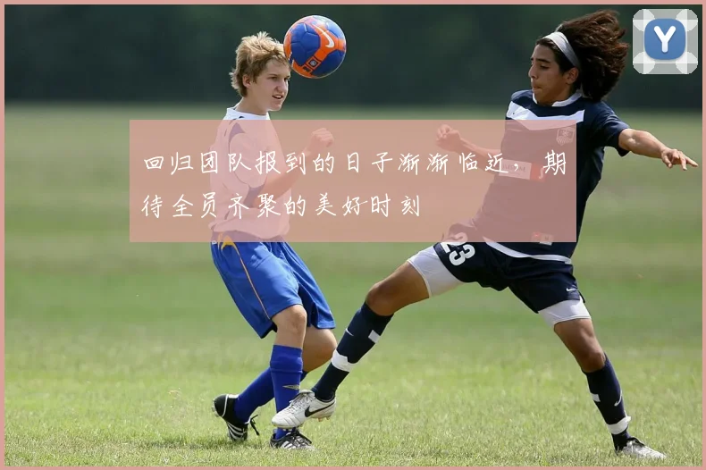 回归团队报到的日子渐渐临近，期待全员齐聚的美好时刻